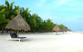 panglao island beach resort