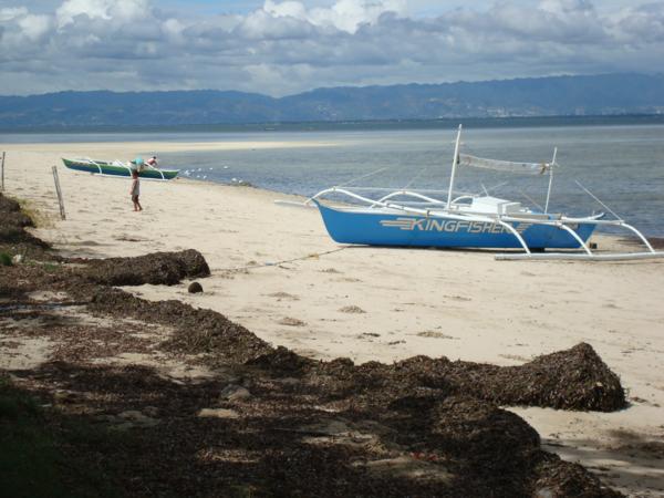 caohagan island beach area