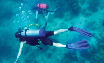 ariara island_scuba diving