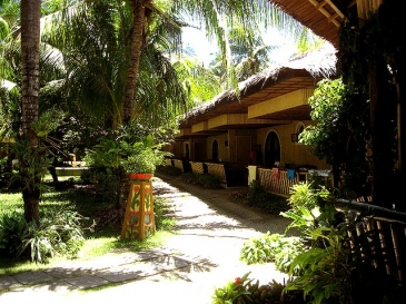 red coconut resort