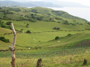 batanes tour package_rolling hills