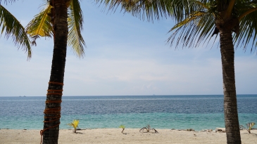 golden sands resort cebu_beach area