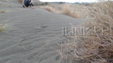 sand dunes ilocos norte