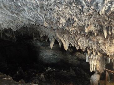 timubo cave_cave formations