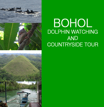 BOHOL TOUR - DOLPHIN AND WHALE WATCHING AND BOHOL COUNTRYSIDE TOUR