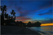 bohol beach  resort in alona