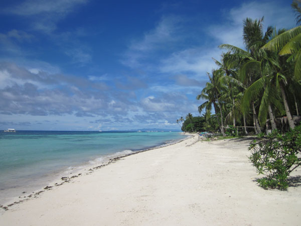 panglao resorts