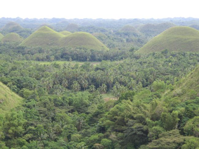 bohol chocolate hills