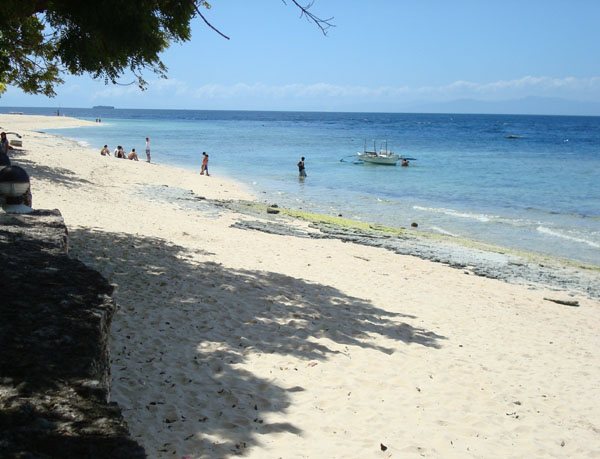 club serena resort moalboal