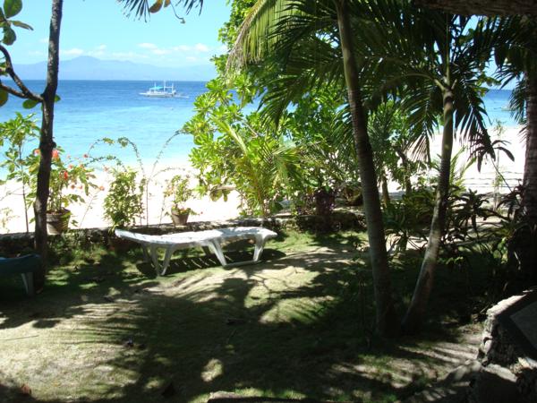 ravenala moalboal resort