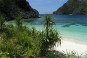 el nido diving