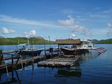 discovery island resort coron