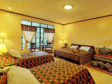 eden nature park_camellia room