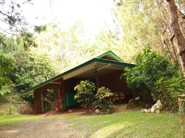 eden nature park_mountain villa4