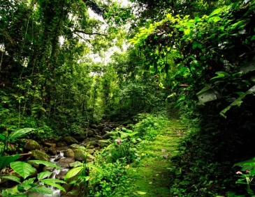 eden nature park_mountain trail