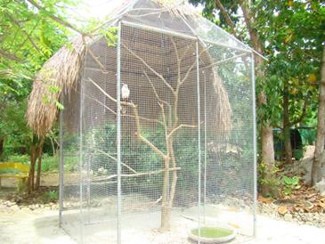 bantayan island nature park and resort_mini zoo