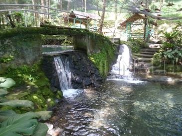 ardent hot spring camiguin2