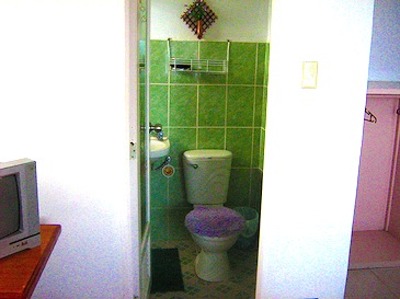 shanedel's inn_bathroom