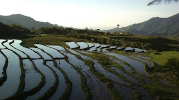 cebu mountain bike tour_batbat rice terraces