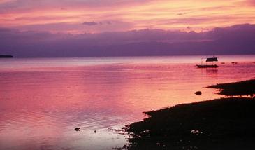 turtle bay resort