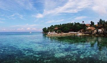 turtle bay dive resort moalboal_house reef