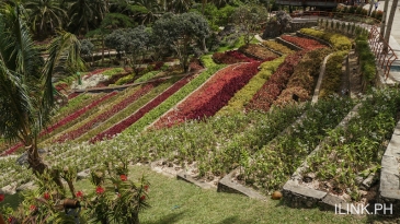 cebu safari_michel's garden