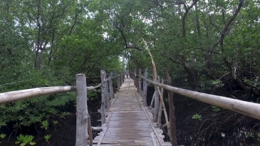 anda tour_lamanoc island_footbridge