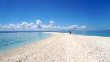 kalanggaman island tour from cebu