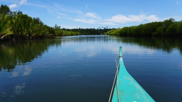 cambuhat river tour