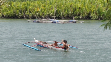 cambuhat river tour_river and mangrove