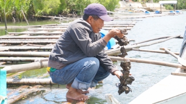 bohol tour_cambuhat river cruise