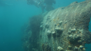 coron tour reefs and wrecks