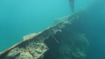 coron reef and wreck tour