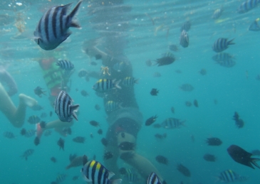 coron reefs and wreck tour