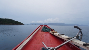 coron reefs and wrecks tour 