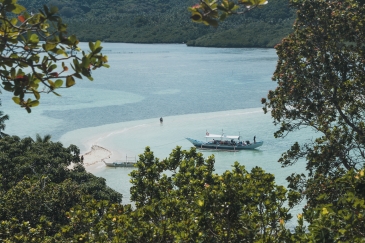 snake island sandbar el nido