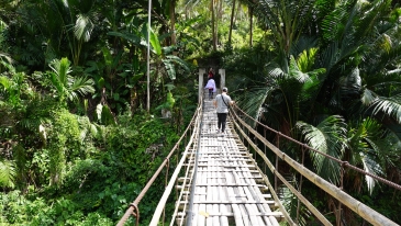 DAO FALLS CEBU