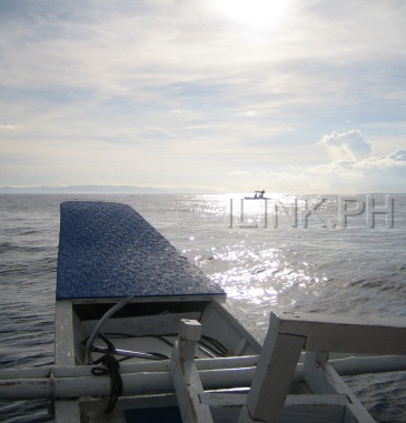 bohol dolphin watching