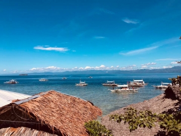 neptune dive resort moalboal