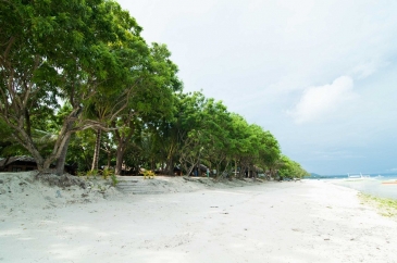 whites and greens bohol