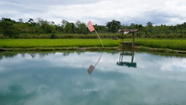buswang lake_swimming hole