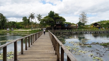 buswang lake_boardwalk