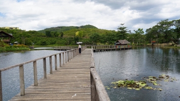 buswang lake_boardwalk