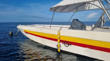 cebu island hopping speedboat