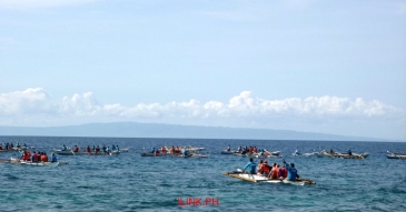 oslob whale shark