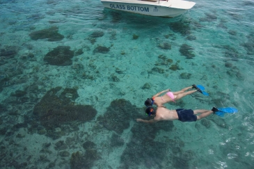 oslob whale shark watching