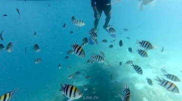 island hopping in cebu
