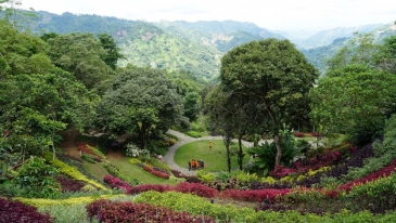 cebu tops lookout