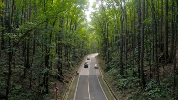 bohol tour from cebu