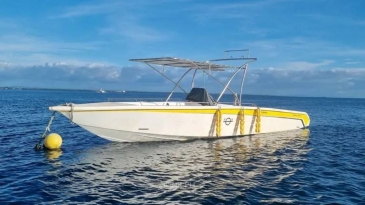 cebu oslob tour
